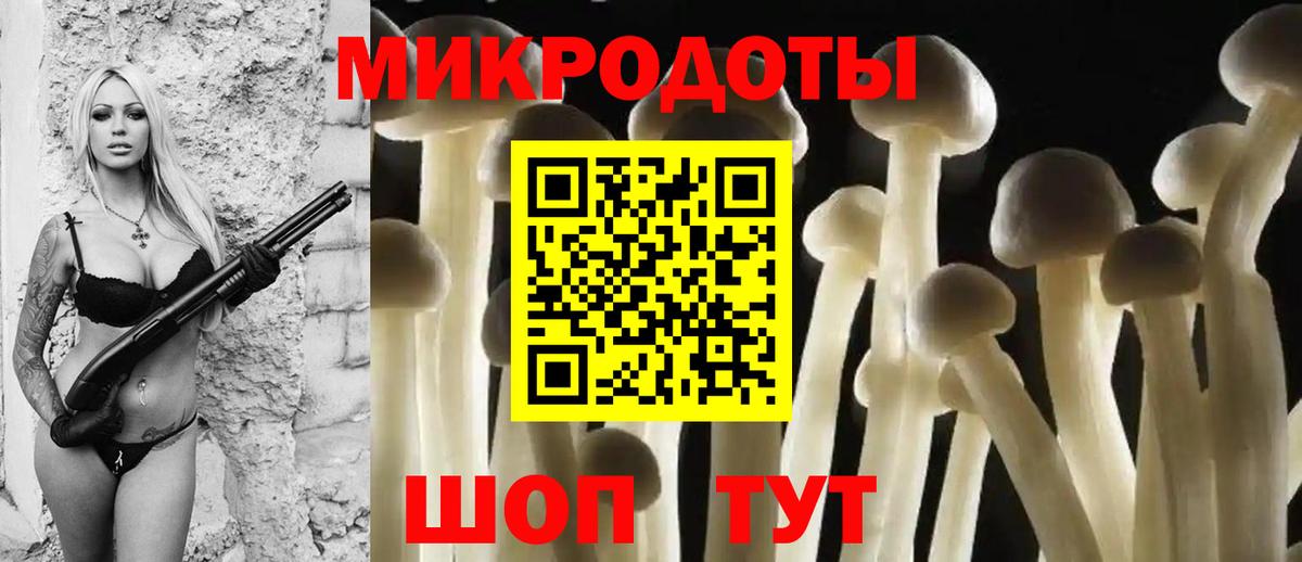 Псилоцибиновые грибы Psilocybe  Вход с VPN  Черногорск 