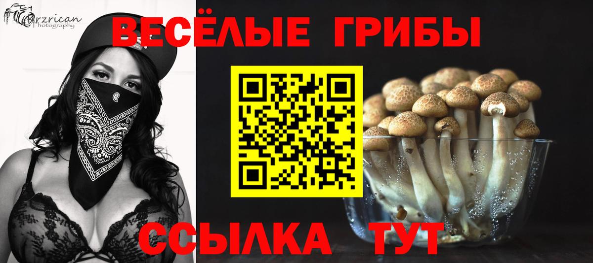 Галлюциногенные грибы Cubensis Черногорск